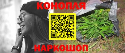 прущие грибы Рязань