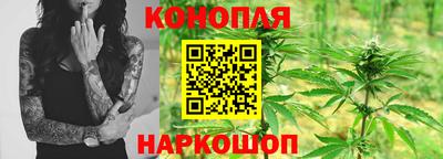 прущие грибы Рязань
